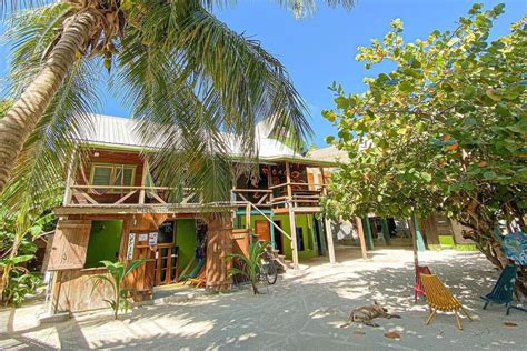 caye caulker cheap hotels|10 Best Caye Caulker Hotels, Belize (From $72) .